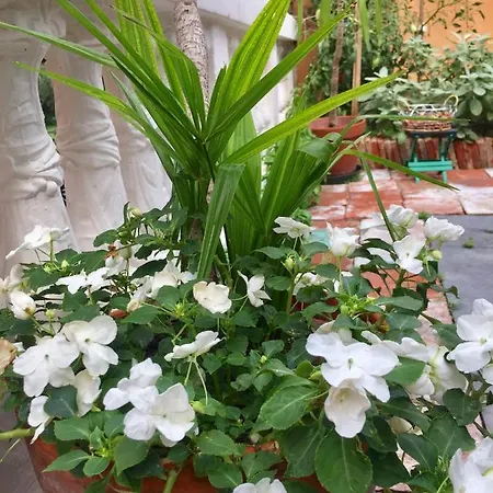 In Riva Al Di Iseo Residenza Loft Marone