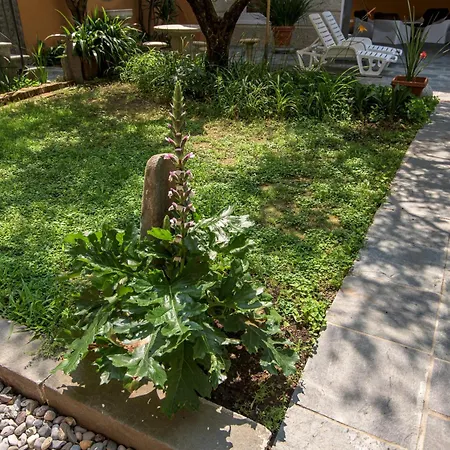 In Riva Al Di Iseo Residenza Loft * Marone